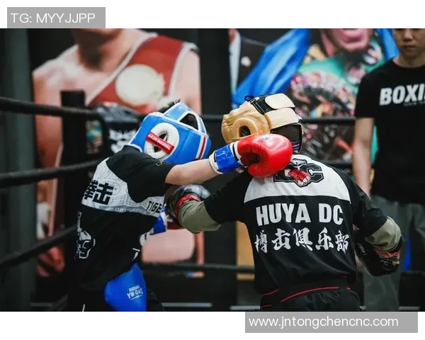 柳海龙与杨晓靖的巅峰对决谁将成为新一代的拳坛霸主